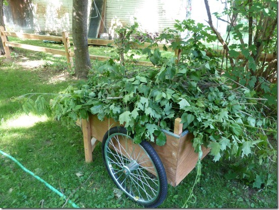 cart1