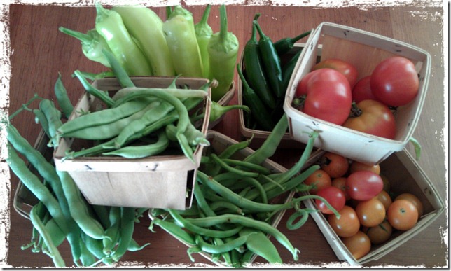 August vegetable harvest photo