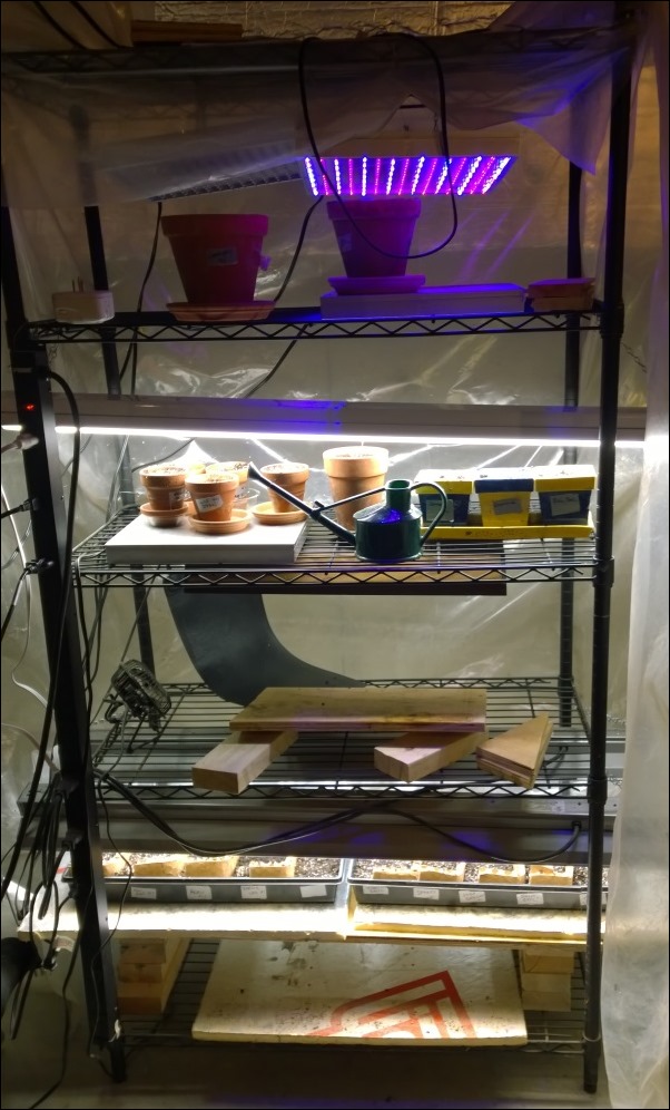 SeedStart1