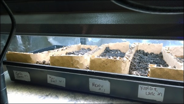 SeedStart2