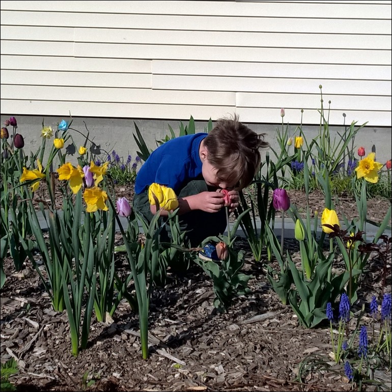 Bulbs3