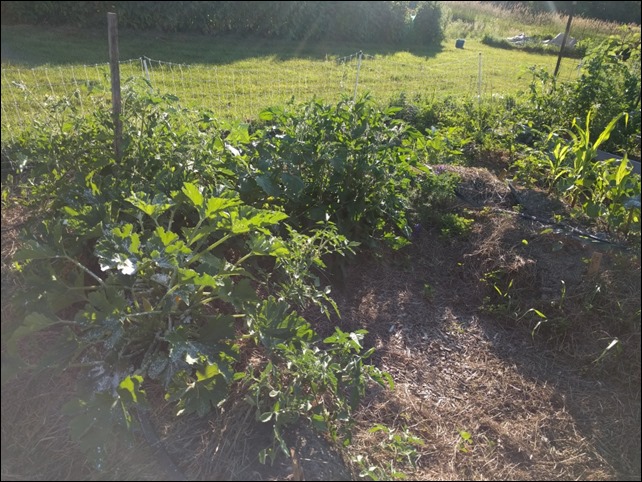 Hugel_20180704_1